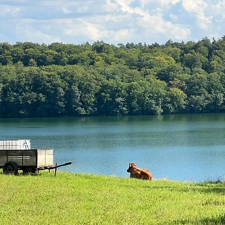 Alcmaria - Aura Kaszub Dom wakacyjny