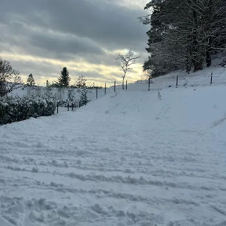 Alcmaria - Aura Kaszub Laczyno