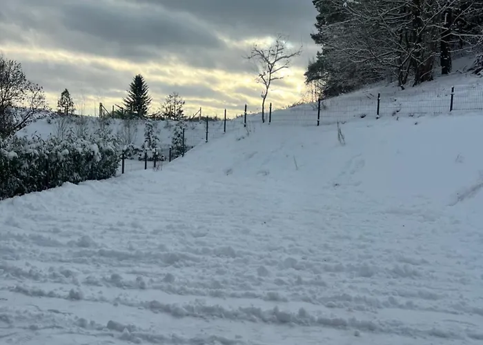 Alcmaria - Aura Kaszub Laczyno